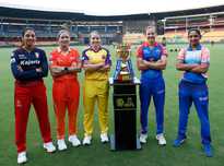 表现吸引了 表现吸引了